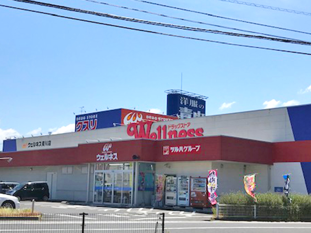 ドラッグストアウェルネス斐川店まで487m （徒歩7分）
