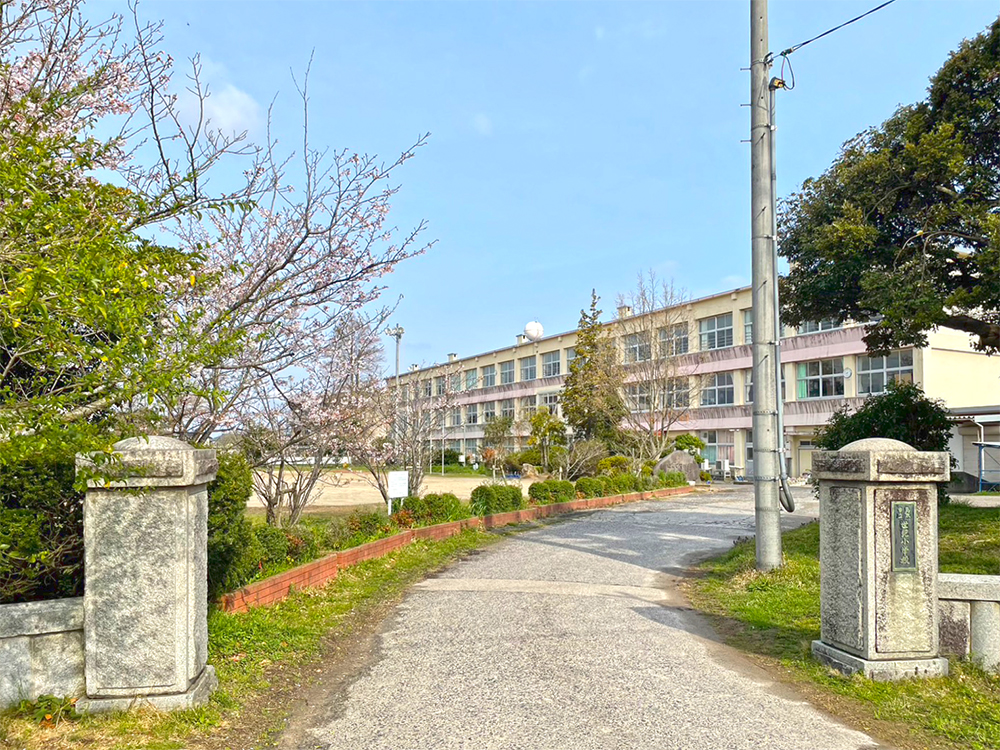 鳥取市立世紀小学校まで492m （徒歩7分）