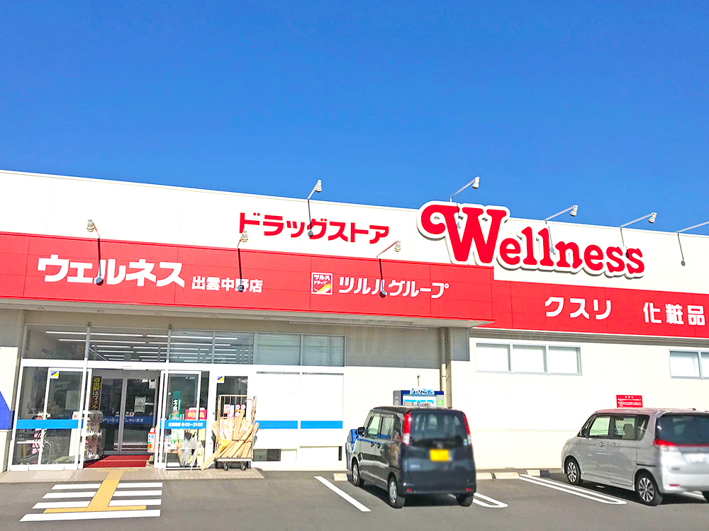 ドラッグストアウェルネス出雲中野店まで1173m （車3分）