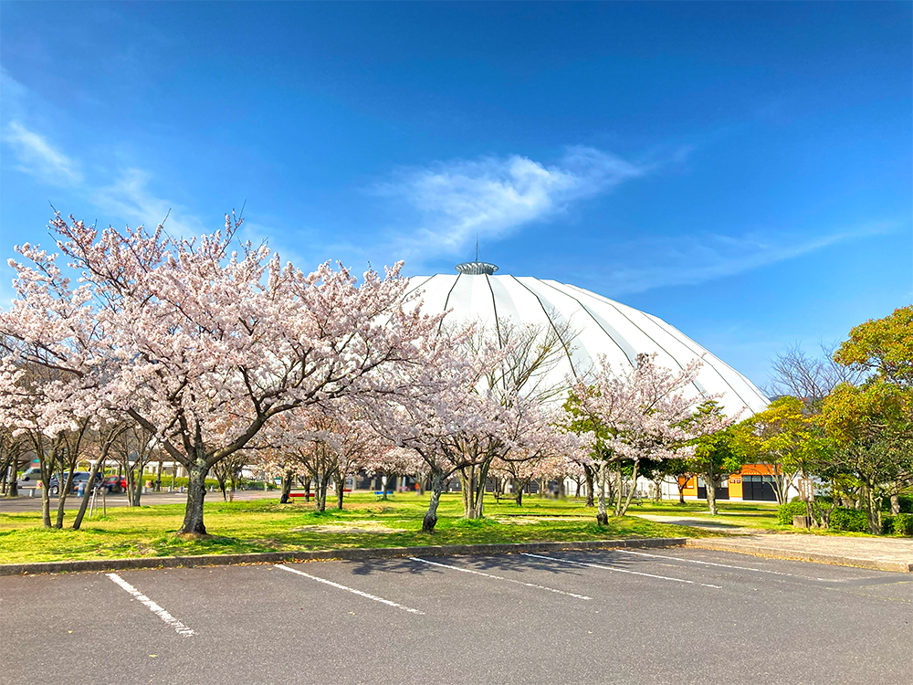 出雲健康公園 出雲ドームまで1488m （車4分）