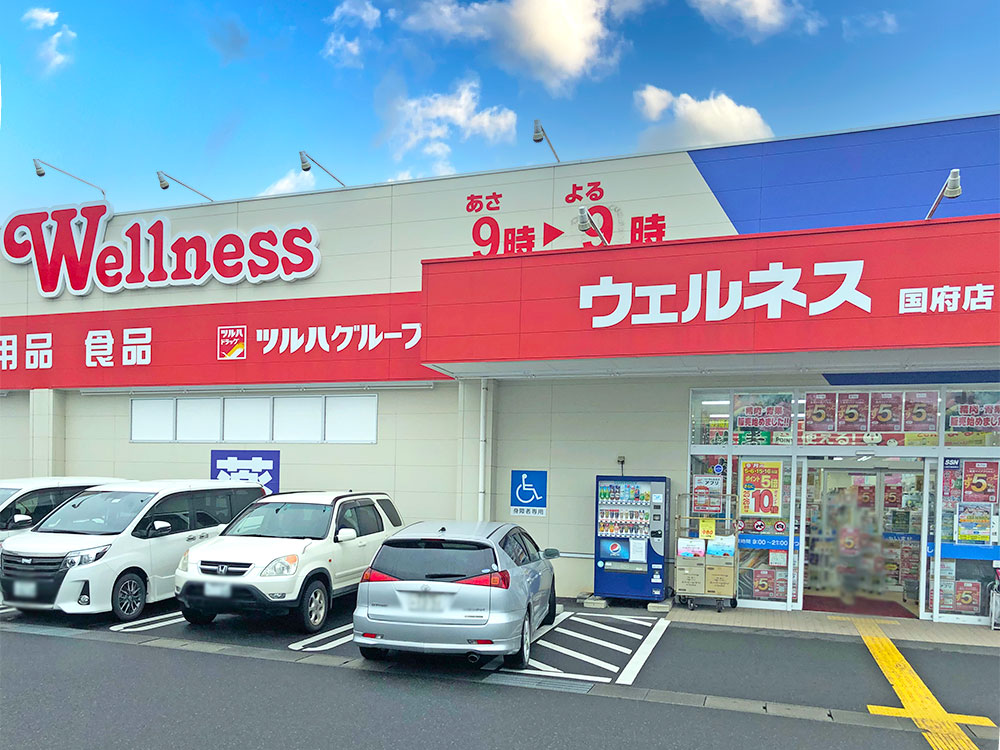 ドラッグストアウェルネス国府店まで1695m （車5分）