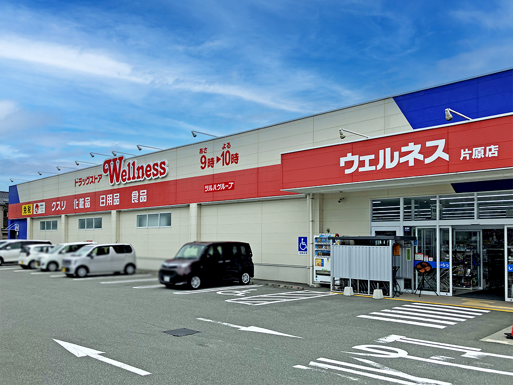 ドラッグストアウェルネス片原店まで865m （車3分）