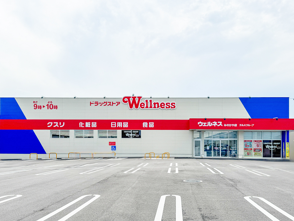 ドラッグストアウェルネスみのかや店まで3640m (車10分)