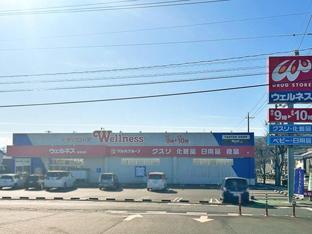 ドラッグストアウェルネス倉吉東店まで789m （車2分）