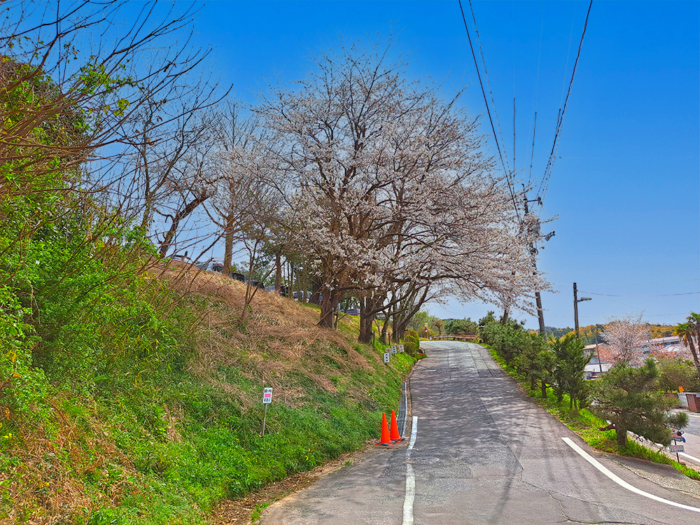 松江市立揖屋小学校まで492m (徒歩7分)
