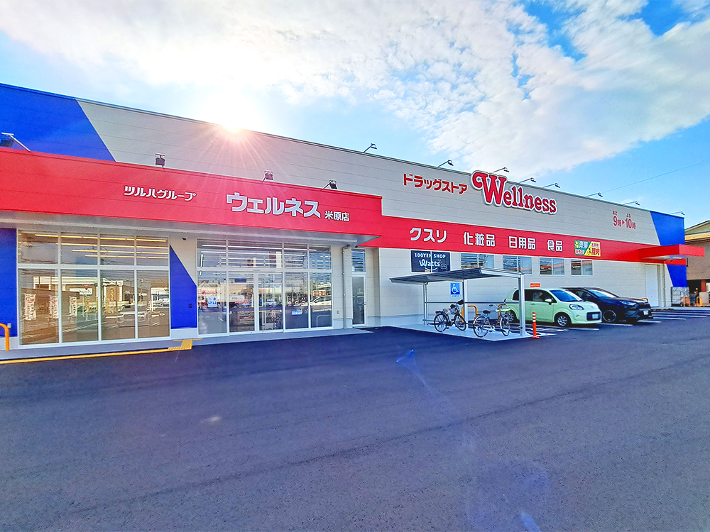 ドラッグストアウェルネス米原店まで1298m （車4分）