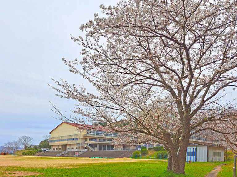 松江市立第四中学校まで2067m （徒歩26分）