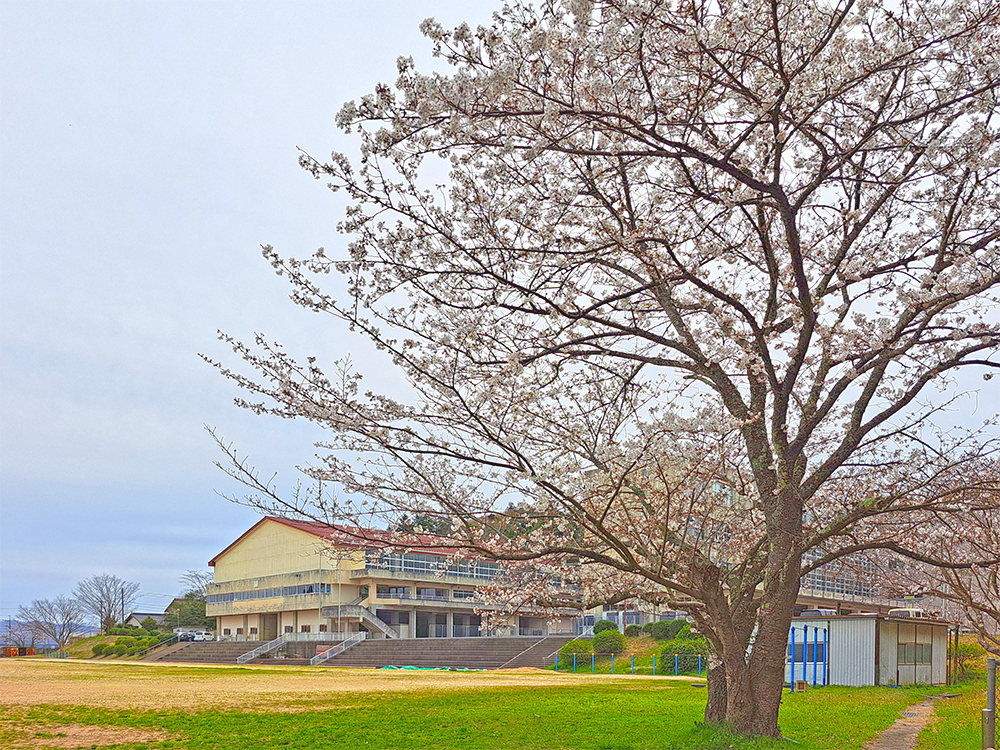 松江市立第四中学校まで2067m （徒歩26分）