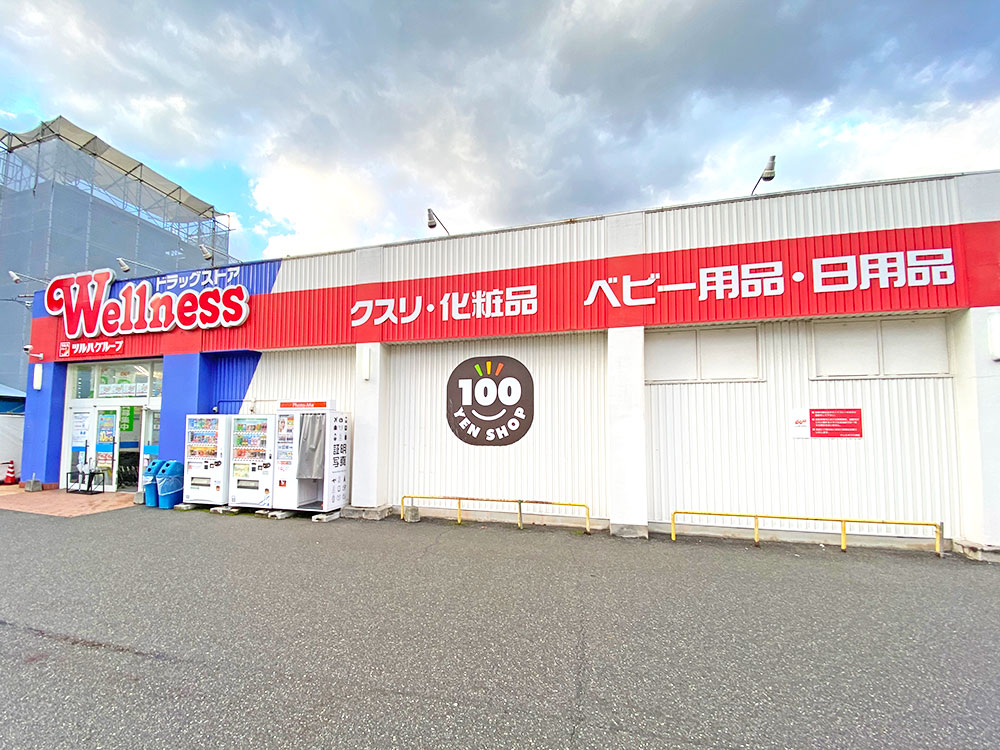 ドラッグストアウェルネス川津店まで700m (車2分)