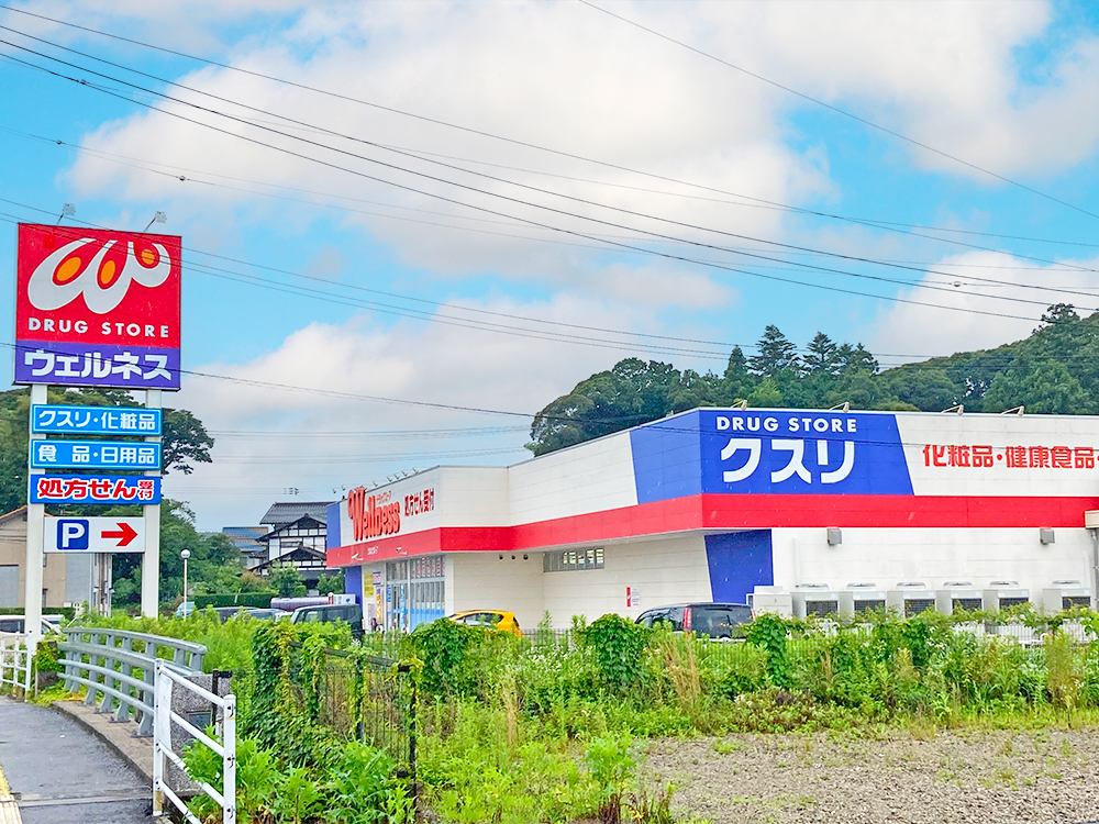 ドラッグストアウェルネス春日店まで1389m （車4分）