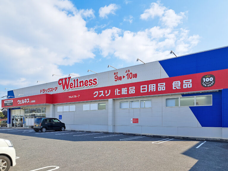 ドラッグストアウェルネス上福原店まで1005m （徒歩13分）