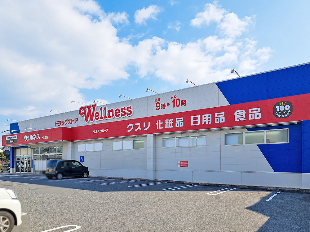 ドラッグストアウェルネス上福原店まで1005m （徒歩13分）