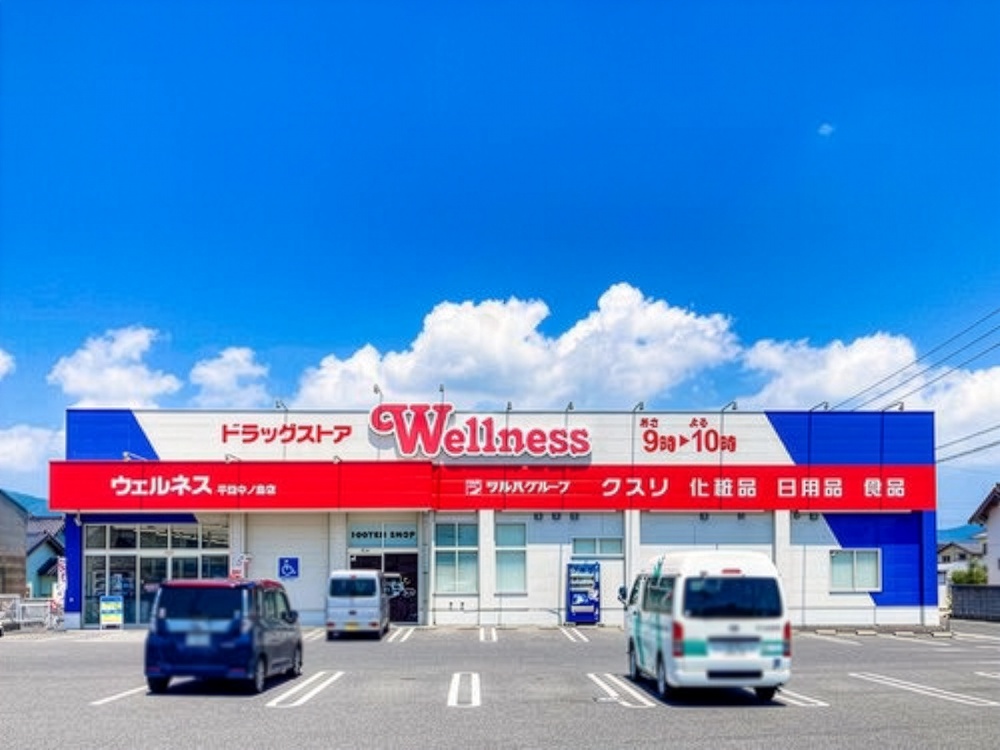 ドラッグストアウェルネス平田中ノ島店まで1051m (車3分)