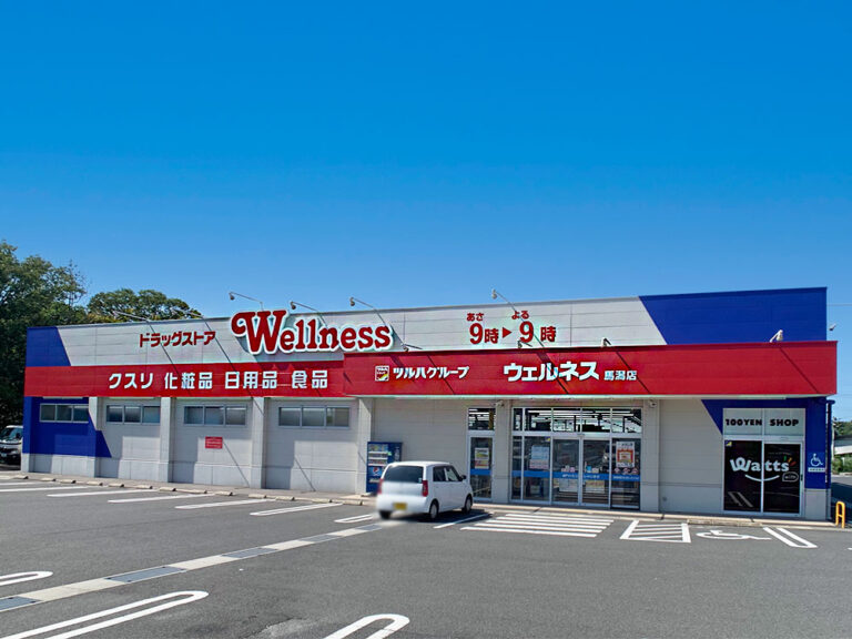ドラッグストアウェルネス馬潟店まで1517m （車4分）