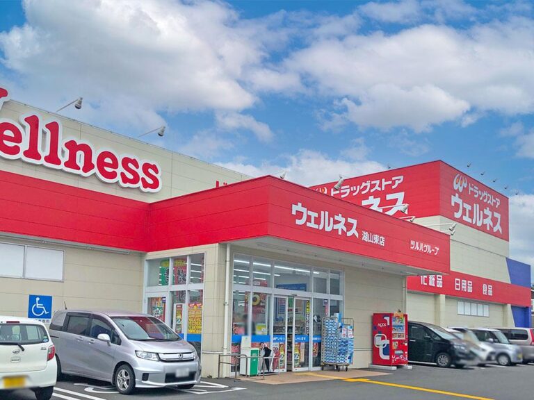 ドラッグストアウェルネス湖山東店まで606m （車2分）