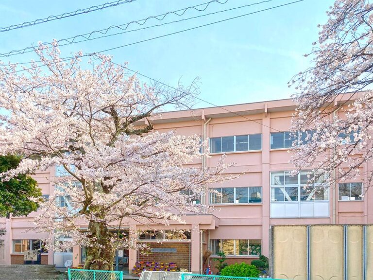 鳥取市立湖山小学校まで596m （徒歩8分）